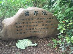 -东山香樟园