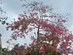 -沙河粉村·国家非遗传承(云台店)