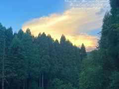 -武陵山森林公园