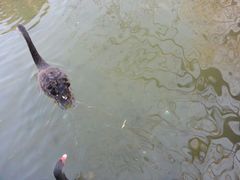 android_upload_pic-北京市海淀外国语实验学校