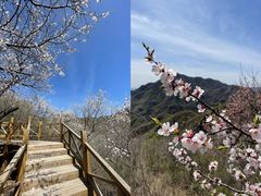 -大岭沟猕猴桃谷风景区