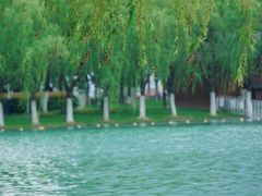-天鹅湖体育公园