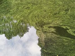 -伍山海滨石窟