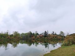 -桤木河湿地公园