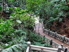 -南宁良凤江国家森林公园