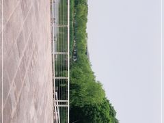 -新江湾城公园
