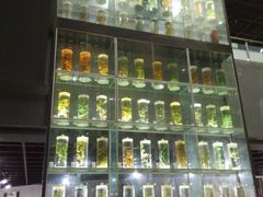 -广东中医药博物馆