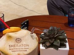 -三亚海棠湾喜来登度假酒店大堂吧