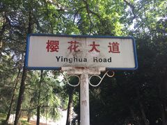 -武汉大学-樱园