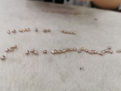 -八婆婆烧仙草(曾厝垵店)