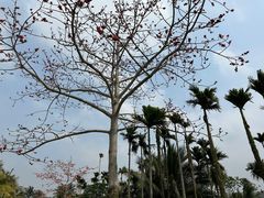 -石梅湾艾美度假酒店