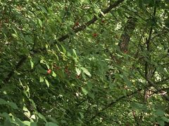 -沈阳辉山风景区