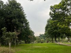 -眉山湿地公园(东坡区)