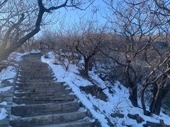-香山公园