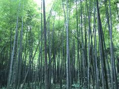 -玉女潭景区