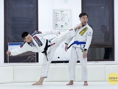 -菠萝格斗巴西柔术训练馆