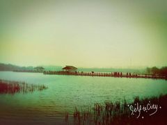 -溱湖国家湿地公园