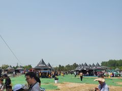 -上林马术中央公园·户外露营·团建·骑乘