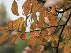 -苏州河梦清园环保主题公园