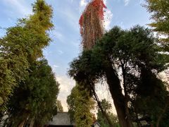 -汤阴县羑里周易博物馆