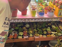 -花鸟鱼虫鲜花绿植市场(玉泉路店)
