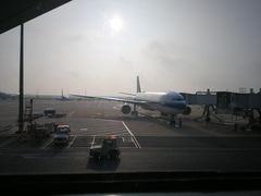 -上海浦东国际机场-T2航站楼