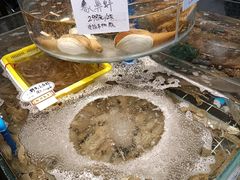 -健跳小海鲜(人民路店)
