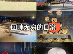 -中国（海南）南海博物馆