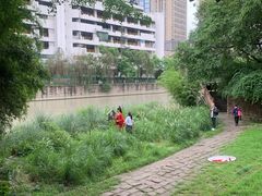 -成都市活水公园