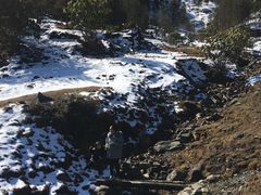 -硗碛藏寨·神木垒景区