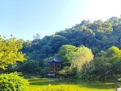 -云溪植物园