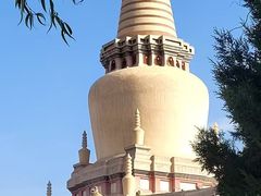 -张掖大佛寺景区