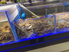 -锅儿欢海鲜火锅烤肉自助餐(东港凯虹店)