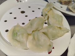 黄瓜素饺-船歌·鱼水饺青岛菜(太阳宫凯德MALL店)