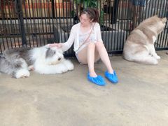 -TrueLove @ Neverland (Husky Cafe)