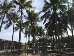 -岘港皇冠假日酒店