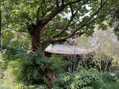 -三苏祠