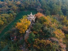 -树山生态村