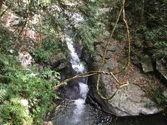 -江西阳明山国家森林公园