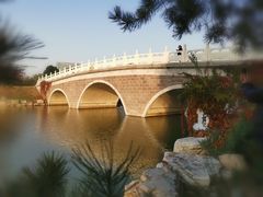 -大兴滨河森林公园