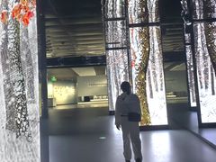 -中国湿地博物馆