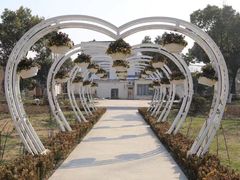 -昆山城市生态森林公园