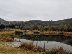 -石塘人家
