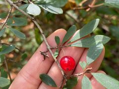 -青峰峡国家森林公园