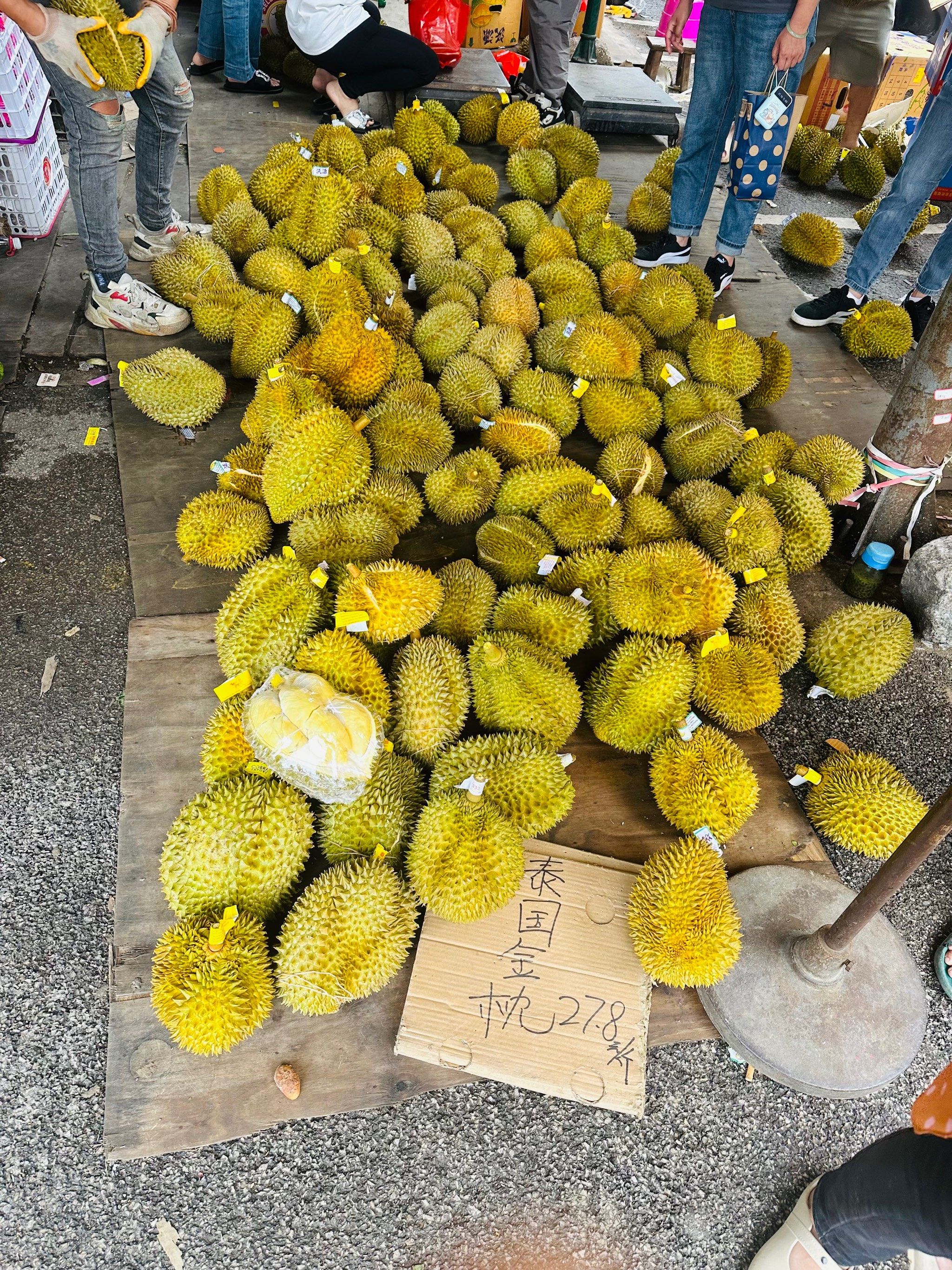 去南宁海吉星批发市场实现榴莲自由