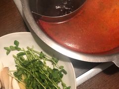 -鍋ぞう(新宿西口店)