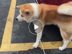 -YCHL Studios健身工作室(市二宫店)