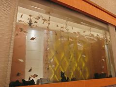 -Acqua海蓝意大利餐厅