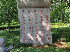 -木塔寺遗址生态公园