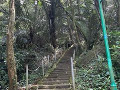 -七仙岭温泉国家森林公园